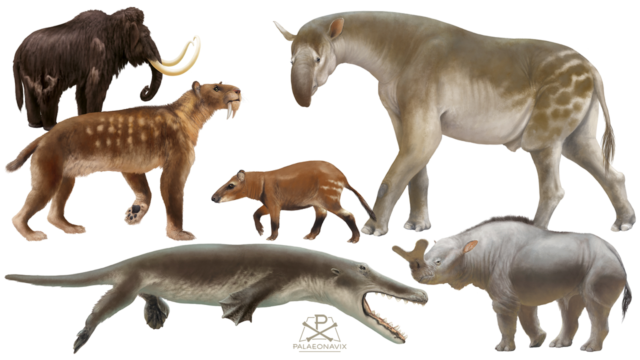 Cenozoic mammals palaeoillustration