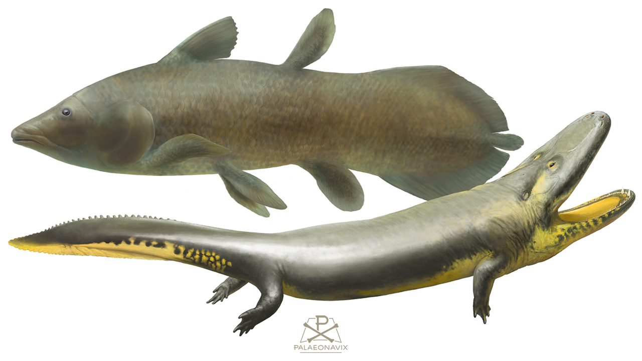 river monsters Mawsonia Mastodonsaurus Cyclotosaurus