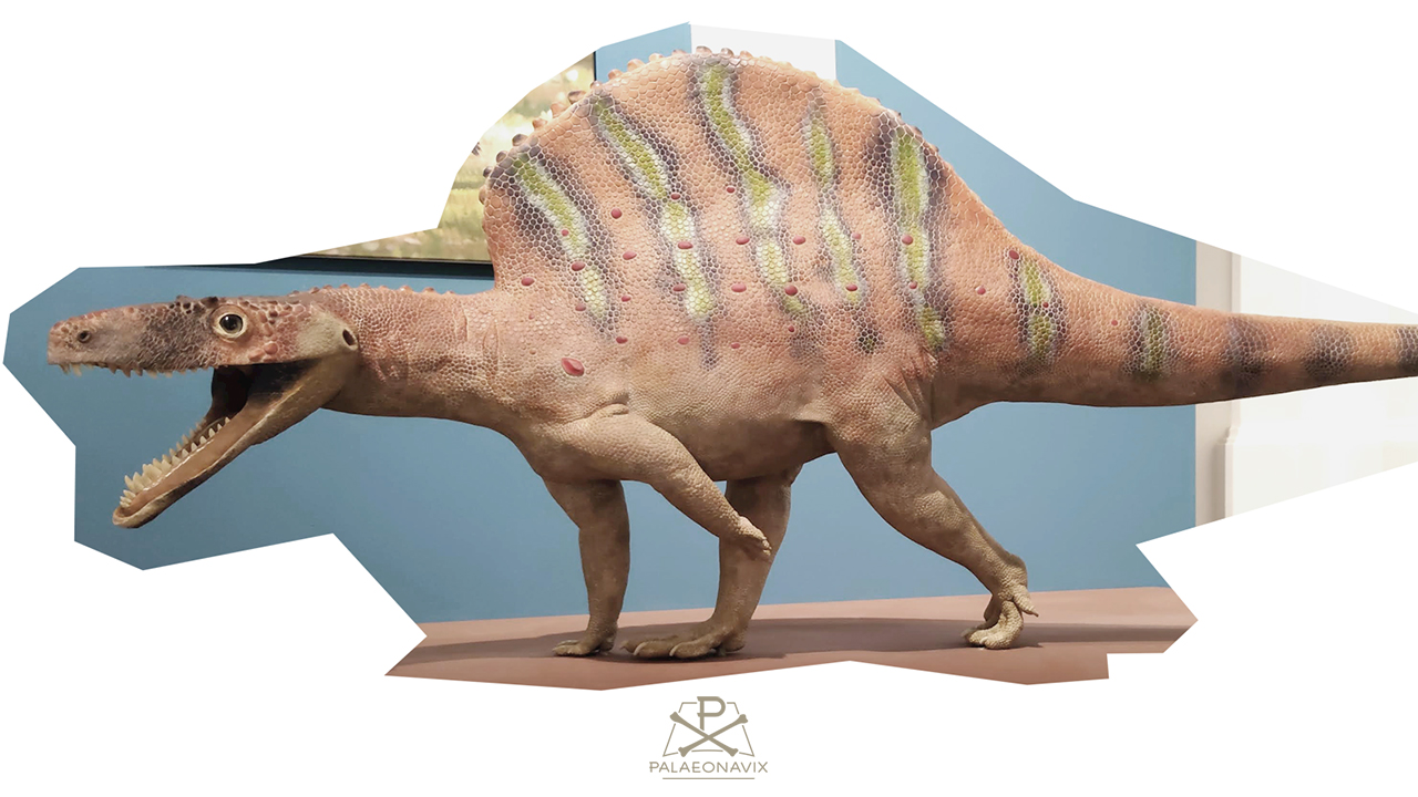 Chirotherium trackmaker sculpted Ctenosauriscus