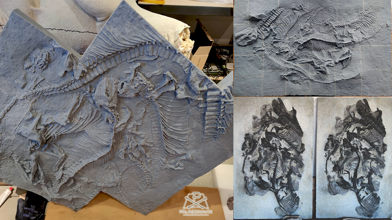 Pantelosaurus slab replication Spindler