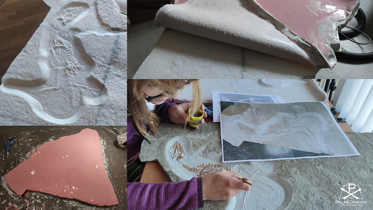 Juravenator replication Ronja Sonnenschein