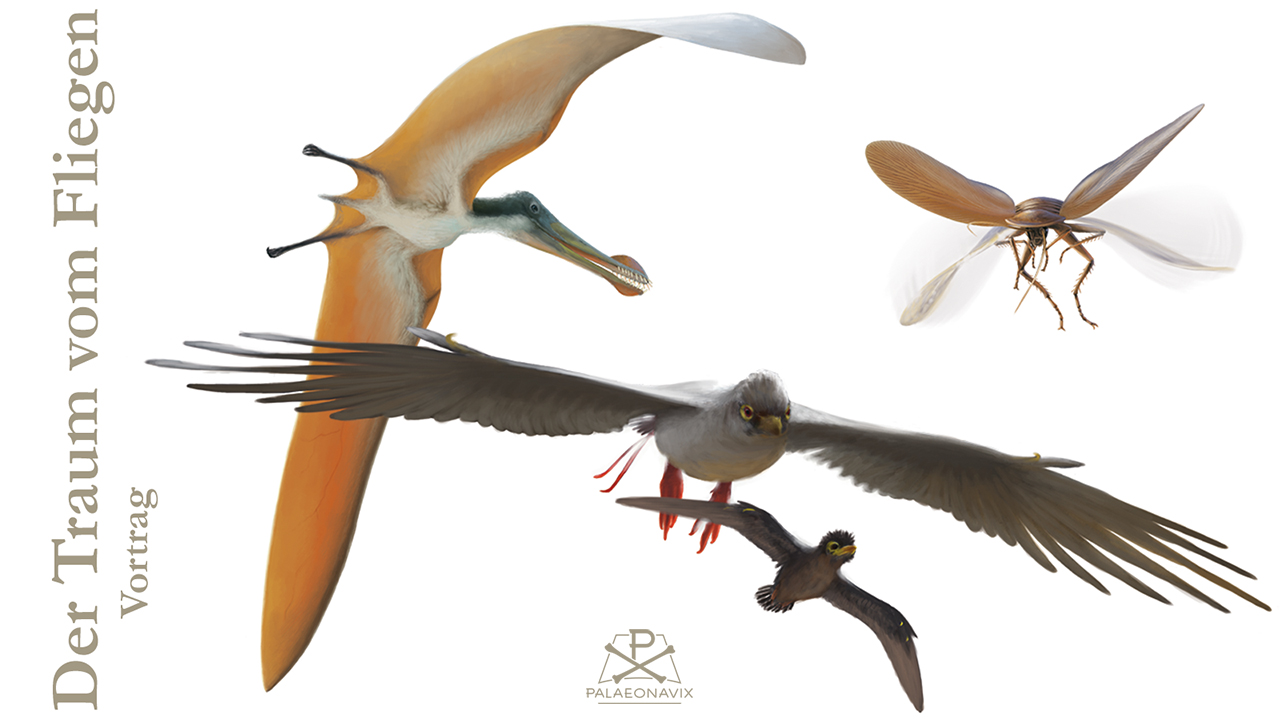 Evolution of animal flight