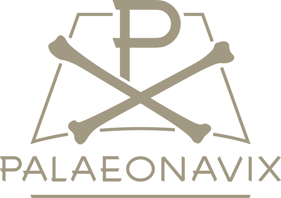 Palaeonavix Logo groß